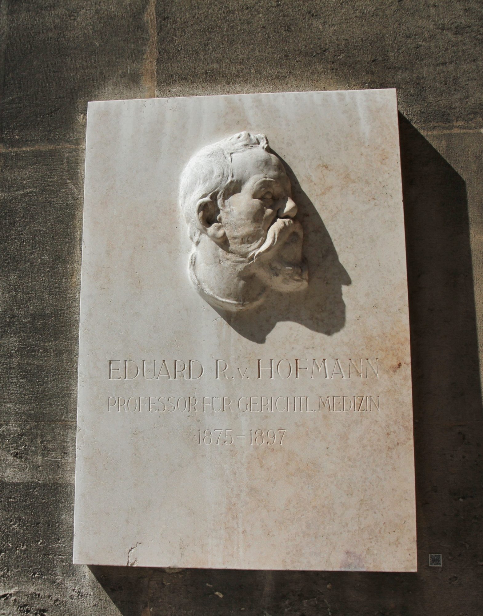 Eduard%20von%20Hofmann%2C%20Medical%20monuments%20B%2C%20UNI%20Vienna.jpg